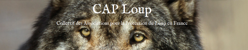Bannière du collectif Cap-loup