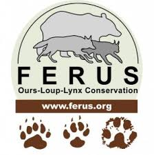 Logo de FERUS