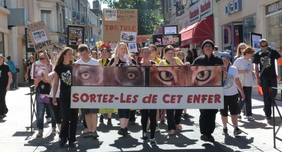 Manif anti vivisection à Auxerre le 08/09/2012