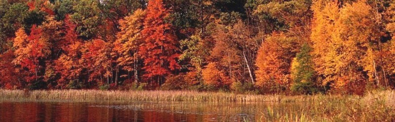 a_Paysage_automne